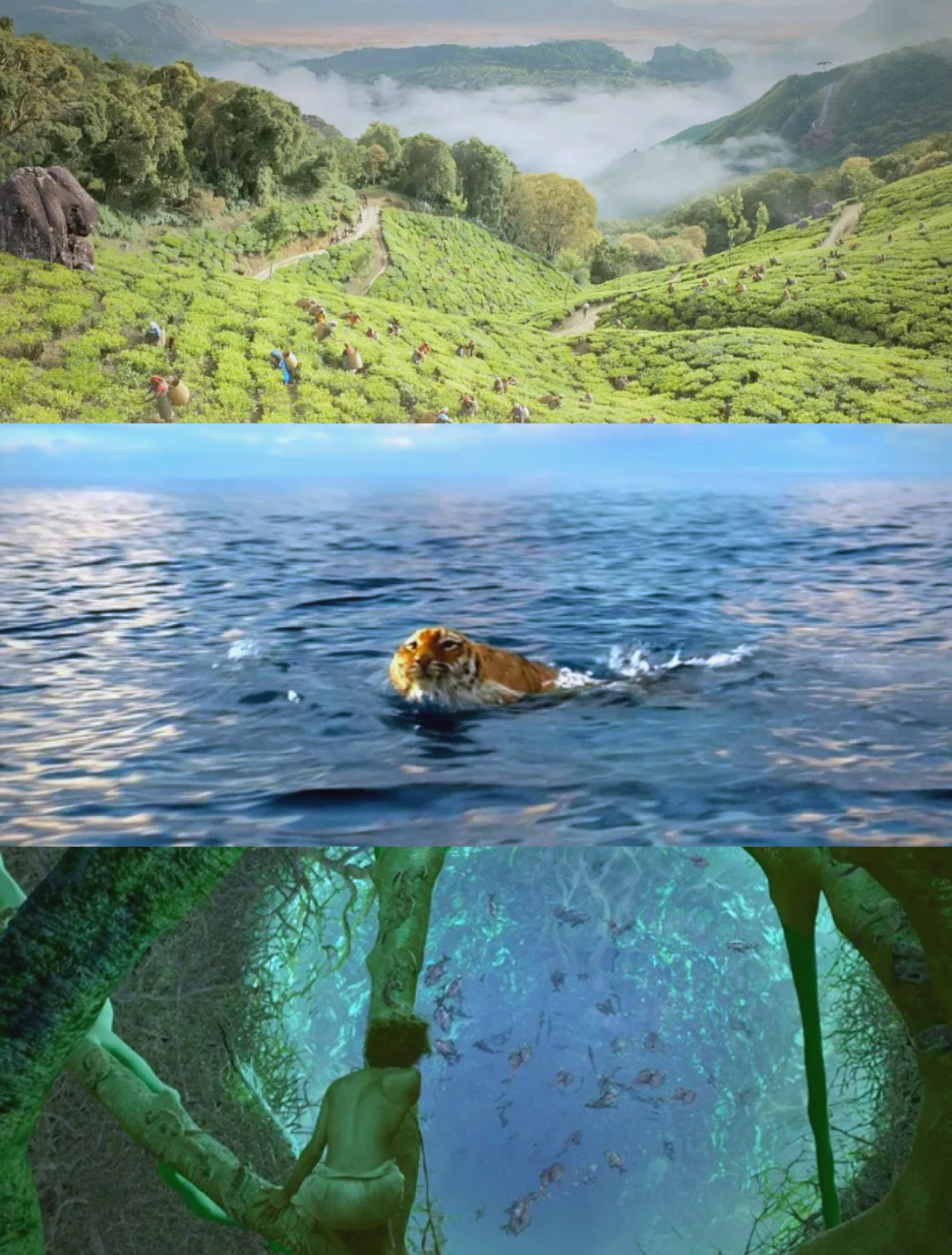 包含&quot;全景水上漂流：探索水域中的奇幻世界&quot;的词条
