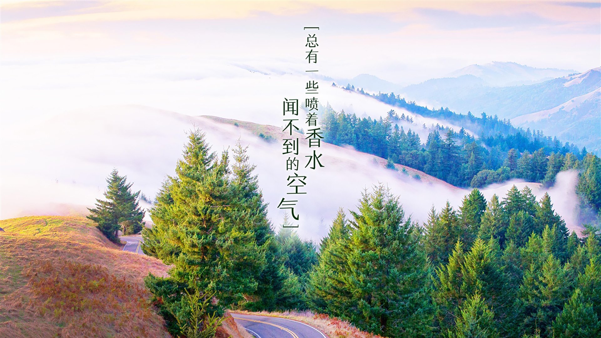 南非队意气风发，勇于向前，足球南非队