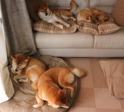 全国青少年山地车挑战赛在甘肃顺利结束,全国青少年自行车赛