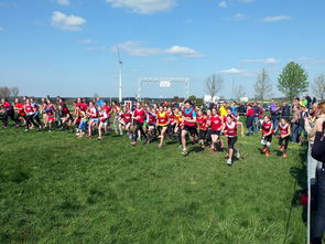 青少年体育活动参与动力分析，青少年的体育活动