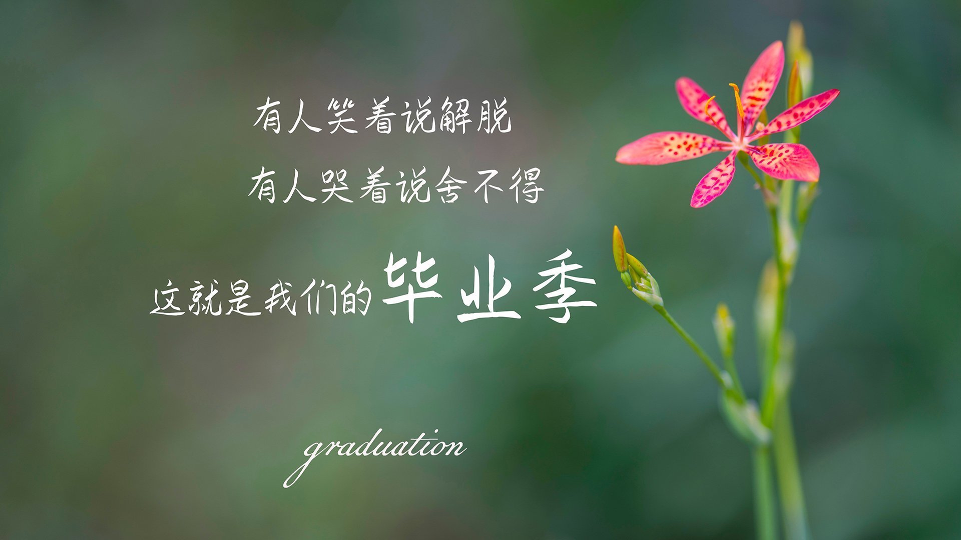 青少年足球普及：数字化平台推动青训全覆盖，青少年 足球