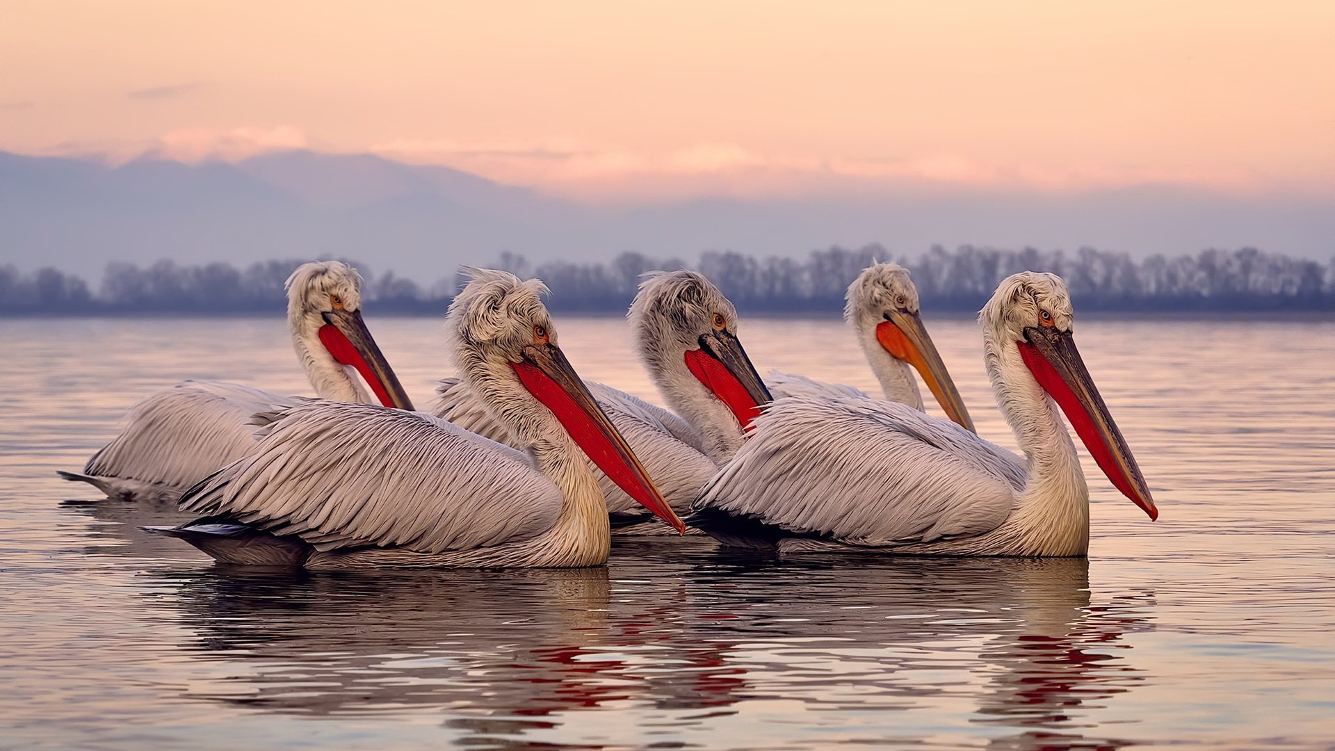 国家青年队集训强度再升级训练计划覆盖体能与对抗全方位,国家青年足球队名单