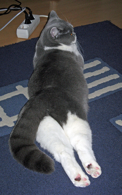 意甲快速反击：一瞬间撕裂对方防线，意甲6.2秒