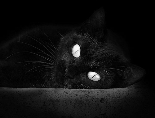 苏炳添百米热身赛轻松晋级决赛，苏炳添百米比赛