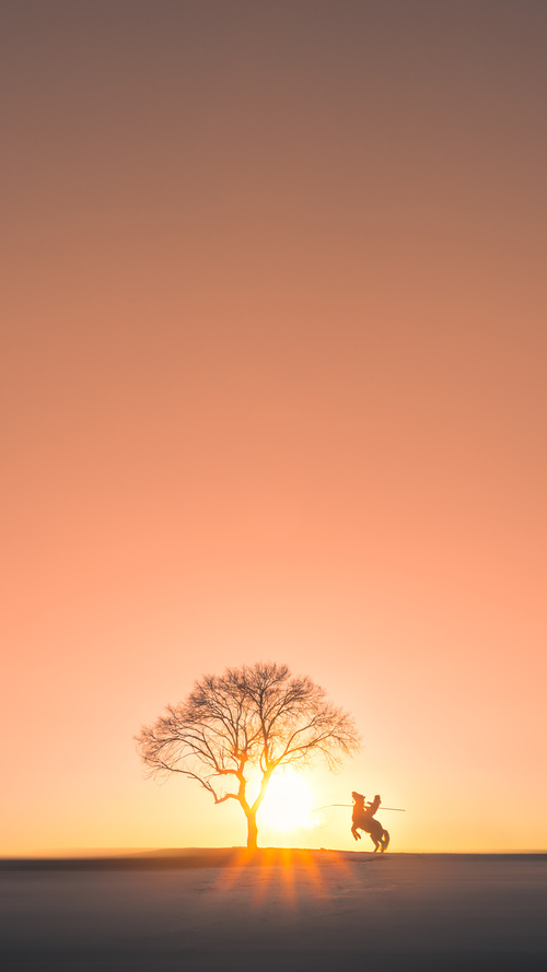 训练营设立日常作息监管机制促进球员生活习惯健康养成，训练营注意事项